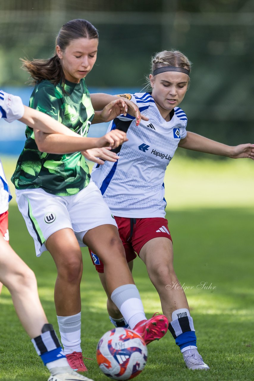 Bild 143 - wBJ Hamburger SV - VfL Wolfsburg : Ergebnis: 5:1